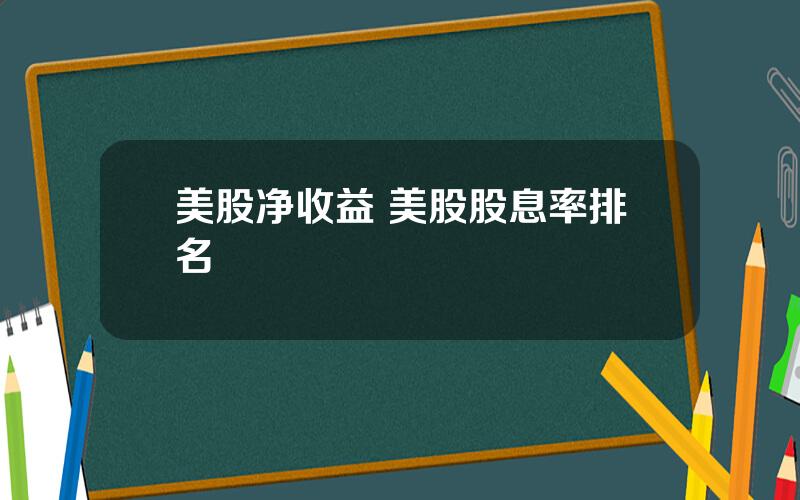 美股净收益 美股股息率排名